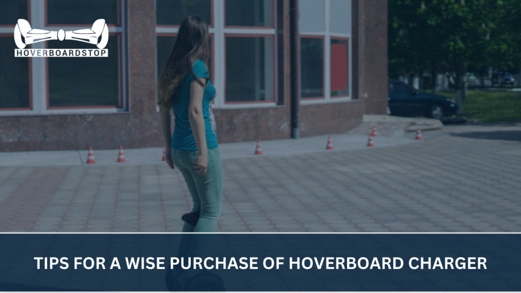 Tips for a Wise Purchase of hoverboard charger